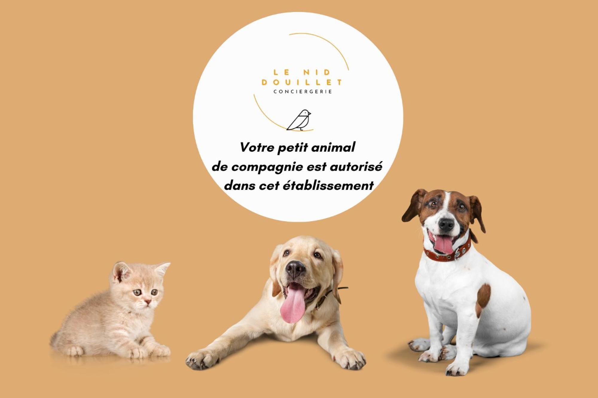 Appartamento Grand Avec Jardin Privatif à